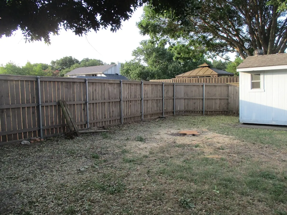 Cleared yard after professional tree removal in Hot Sulphur Springs